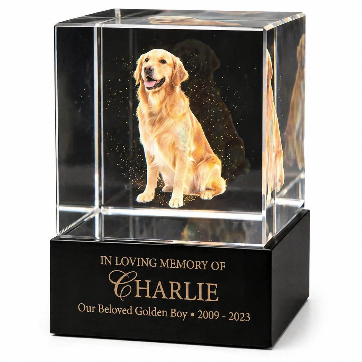 3d-holographic-pet-memorial-box-eternal-digital-souvenir variation