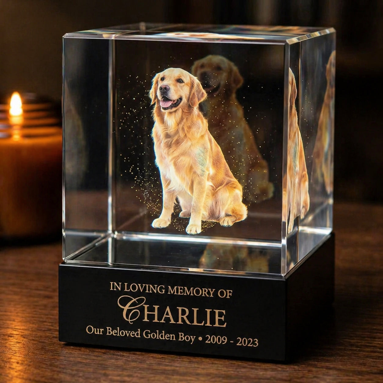 3d-holographic-pet-memorial-box-eternal-digital-souvenir variation