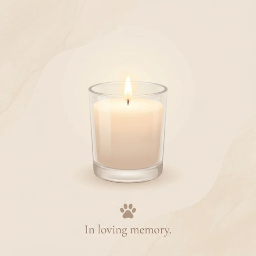 Light a Candle for Your Pet – Digital Memorial Tribute & Spirit Flower Offering - Digital Memorial - Pawtuary (View 2)