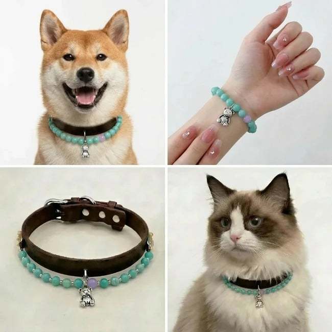 Turquoise Bear Bond Collar — Boho Edition - Pet Memorial Product