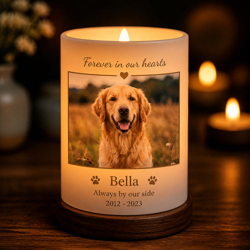 10 Eternal Candles Tribute - Digital Pet Memorial