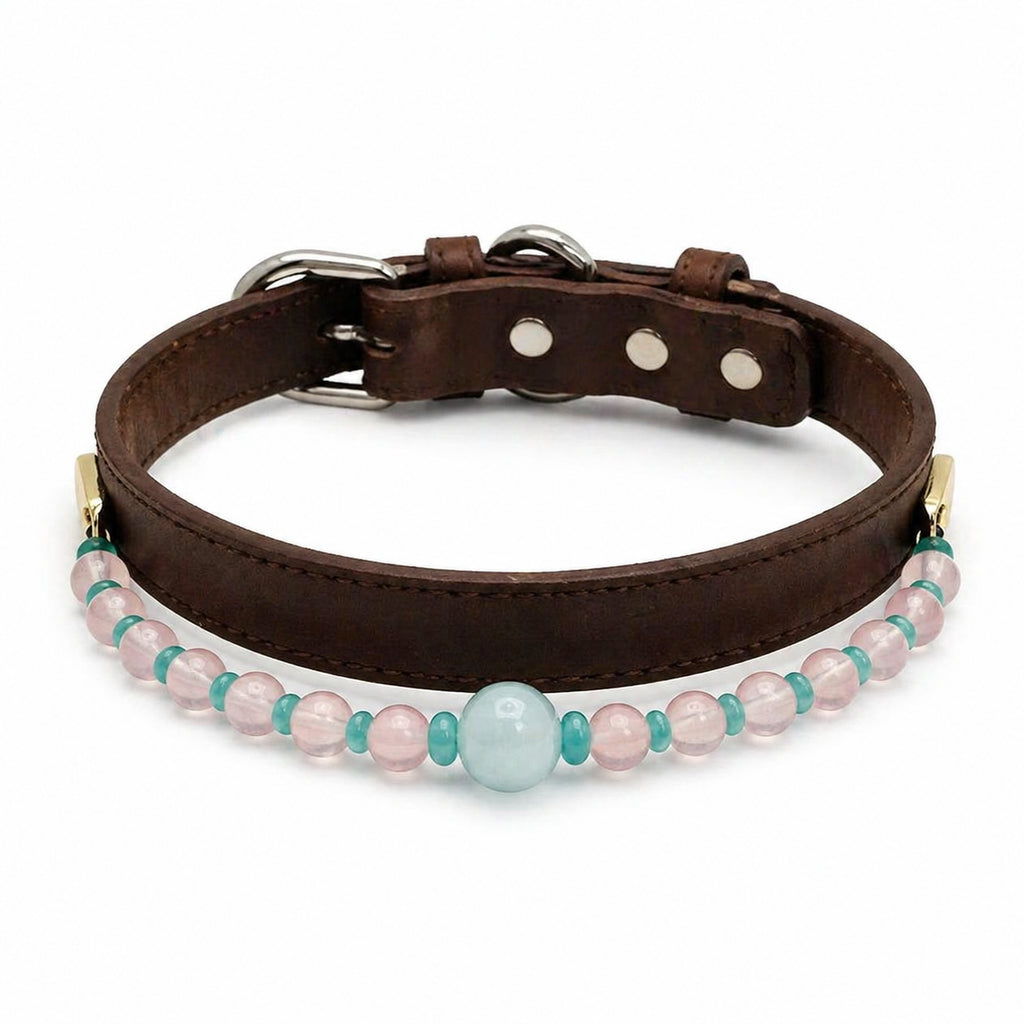 Ocean Breeze Bond Collar — Minimalist Pastel