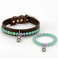Turquoise Bear Bond Collar — Boho Edition