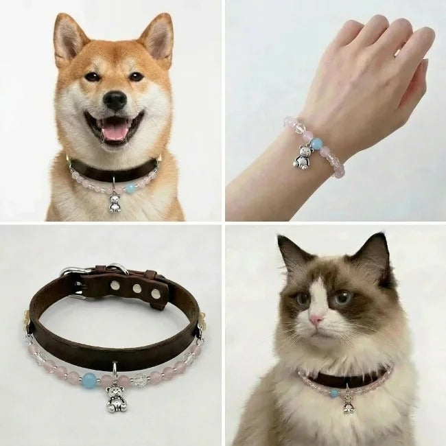 Silver Bear Bond Collar — Teddy Love Set - Pawtuary